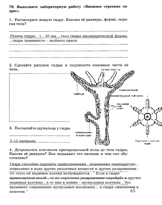 Фишинговые ссылки блэкспрут BlackSprut ssylka onion com