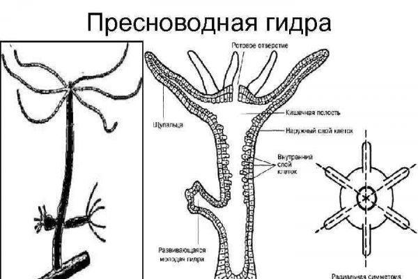 Настоящий сайт кракен