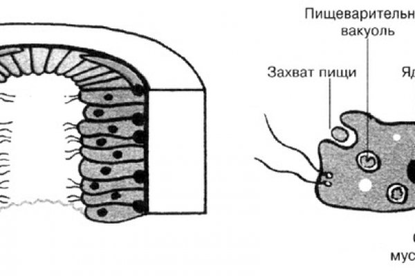 Кракен площадка торговая